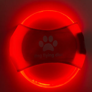 Lyser Upp Din Hundträning med Flygande Frisbee